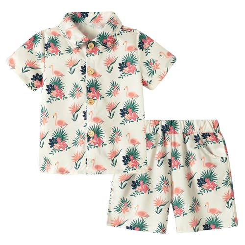 ZOEREA Kleinkind Baby Jungen Kleidung Hawaii-Outfit Shorts Sets Bedrucktes Hemd und Shorts mit Knopfleiste Sommer Strand Kleidung 1-5T, Aprikose-Flamingo, 12-18 Monate von ZOEREA