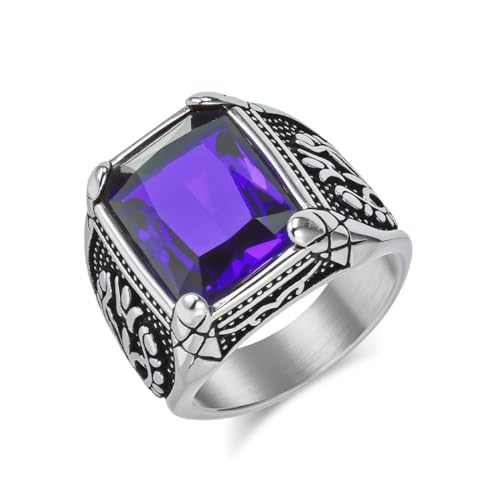 ZQIUDLOF Personalisierte Retro Titan Stahl Edelstein Ring, Punk Männer Und Frauen Edelstahl Personalisierte Zirkon Ring,Lila,9 von ZQIUDLOF