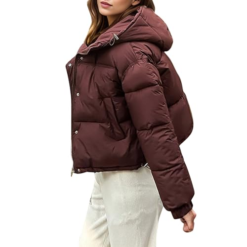ZRYAZQ Daunenjacke Damen Leicht Kurz Steppjacke Damen mit Kapuze Puffer Jacke Damen Winter Warm Winterjacke Damen Dicke Wintermantel Leichte Steppmantel Pufferjacke Warme Daunenmantel Casual von ZRYAZQ
