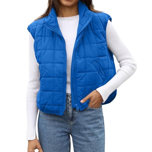 ZRYAZQ Weste Damen Kurz Steppweste Damen Leicht Übergangsjacke Damen Elegant Kurzweste Ärmellos Reissverschluss Daunenweste Leichte Winterjacke Warm Rollkragen Stepp Damenweste Winter mit Taschen von ZRYAZQ