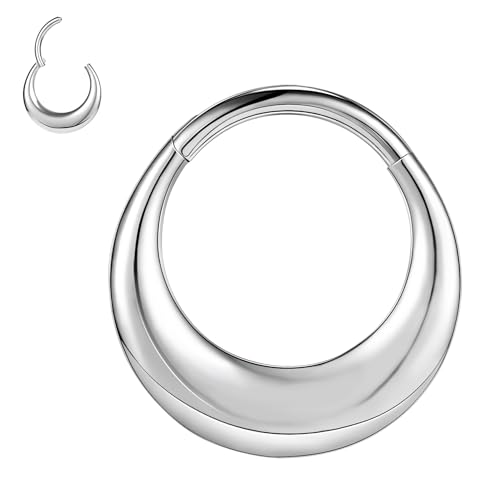 ZS 16G Segment Septum Nasenringe für Damen Herren, 8mm 10mm ASTM F136 Titan Clicker Knorpel Ohrringe Tropfen Hoop Rook Helix Piercing Schmuck (Silber-10mm) von ZS