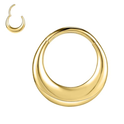 ZS 16G Segment Septum Nasenringe für Damen Herren, 8mm 10mm Edelstahl Clicker Knorpel Ohrringe Hoop Teardrop Rook Helix Piercing Schmuck (Gold-8mm) von ZS
