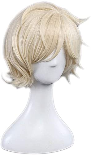 Anime Cosplay Rose Net Perücken 100% Hochtemperaturbeständige Faser beige Kurzes Gerade Haar 12inches chenghuax von ZUKKY