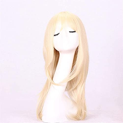 Natürlich lange gerade mit Pony Blonde Spitze Frontperücken für Frauen Wärme Residenant Faser Synthetische Cosplay Haar 20 Zoll chenghuax von ZUKKY