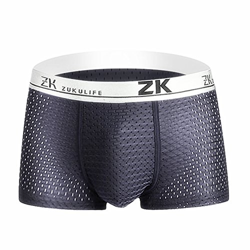 Zuku Life Underwear Herren Boxershort Eisige MESH Trunk (Grau L) von ZUKULIFE