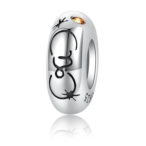 ZUOHUI Charm-Perlen for Damen aus platiniertem S925-Sterlingsilber mit 12 Sternzeichen-Abstandshaltern, kompatibel mit Armbändern und Halsketten von Pandora, Biagi, Troll und Chamilia(Capricorn) von ZUOHUI