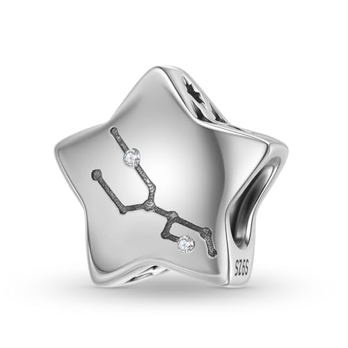 ZUOHUI Charm-Perlen für Damen aus S925er Sterlingsilber mit 12 Sternbildern, kompatibel mit Armbändern und Halsketten von Pandora, Biagi, Troll und Chamilia(PC1750-2 (Taurus)) von ZUOHUI