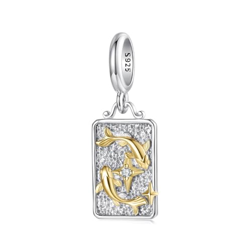 ZUOHUI Damen-Anhänger mit 12 Sternzeichen-Charms aus 925er Sterlingsilber zur Schmuckherstellung – Einzigartiges DIY-Perlenzubehör for Armbänder und Halsketten | Geschenk for Geburtstag, Muttertag und ZUOHUI Damen-Anhänger mit 12 Sternzeichen-Charms aus 925er Sterlingsilber zur Schmuckherstellung – Einzigartiges DIY-Perlenzubehör for Armbänder und Halsketten | Geschenk for Geburtstag, Muttertag und von ZUOHUI