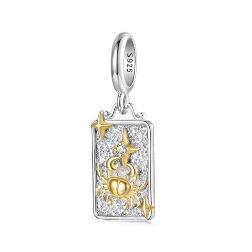 ZUOHUI Damen-Anhänger mit 12 Sternzeichen-Charms aus 925er Sterlingsilber zur Schmuckherstellung – Einzigartiges DIY-Perlenzubehör for Armbänder und Halsketten | Geschenk for Geburtstag, Muttertag und von ZUOHUI