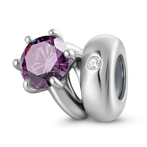 ZUOHUI Solitär-Ring-Perlenanhänger aus S925er Sterlingsilber mit rundem Geburtsstein for Damen, for Armbänder und Halsketten von Pandora, Biagi oder Chamilia(February: deep purple) von ZUOHUI