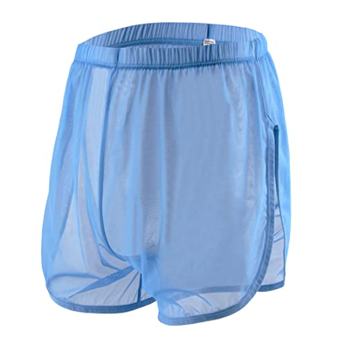 Herren Sexy Mesh See Through Trunks Stretch Atmungsaktive Unterwäsche Shorts Weiche Lose Boxershorts Briefs, 1 Pack-Blau (8382), L von ZUOLAIYIN