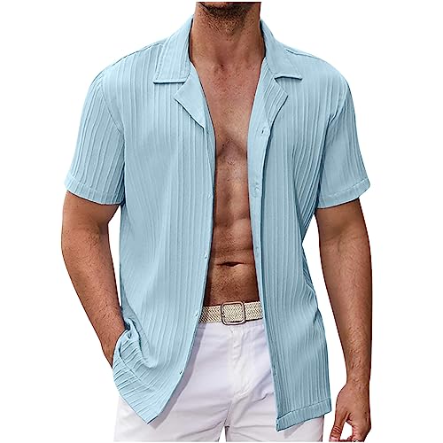 ZWDC Herren Hemd Baumwolle Leinenhemd Weich Faltenfrei Sommerhemd Herren Premium Kurze Ärmel Freizeithemd Hawaiihemd Streetwear 2023 Trend Y2K Für Strandurlaub Und Hochzeit, Hellblau, Large von ZWDC