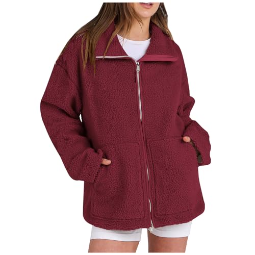 ZWDC Teddyjacke Damen Freizeit Doppelschneidiger Samt Jacke Dicke Warme Winterjacke Einfarbig Fleecejacke Reißverschluss Plüschjacke Bequem Wintermantel 2024 Neueste Wolljacke für Frauen S-XXL von ZWDC