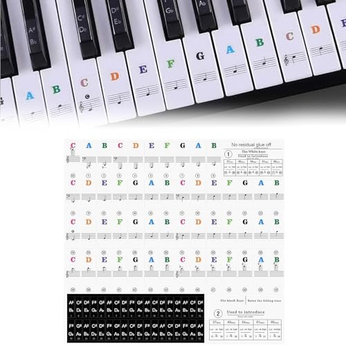 ZWWOGE Klavier Keyboard Noten Aufkleber,Entfernbar Klaviertasten Aufkleber für 37/49/54/61/88 Tasten Tastatur,Piano Keyboard Notes Stickers,Klavier Tastatur Zubehör für Kinder Anfänger Klavier Lernen von ZWWOGE