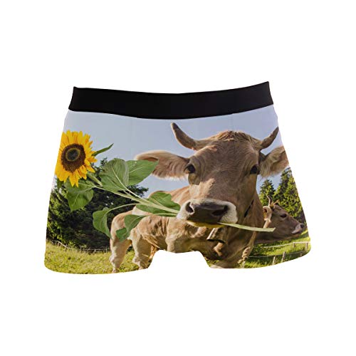 ZZKKO Herren Boxershorts, Kuh, Sonnenblume, atmungsaktiv, dehnbar, mit Tasche, S-XL - Braun - X-Large von ZZKKO