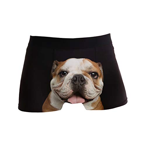 ZZKKO Herren Boxershorts Französische Bulldogge, atmungsaktiv, Stretch, mit Tasche, S-XL - Schwarz - X-Large von ZZKKO