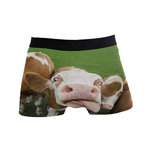 ZZKKO Herren-Boxershorts mit Einhorn-/Kuh-/Leoparden-/Löwen-Motiv, atmungsaktiv, Stretch, mit Tasche, S-XL - - Large von ZZKKO