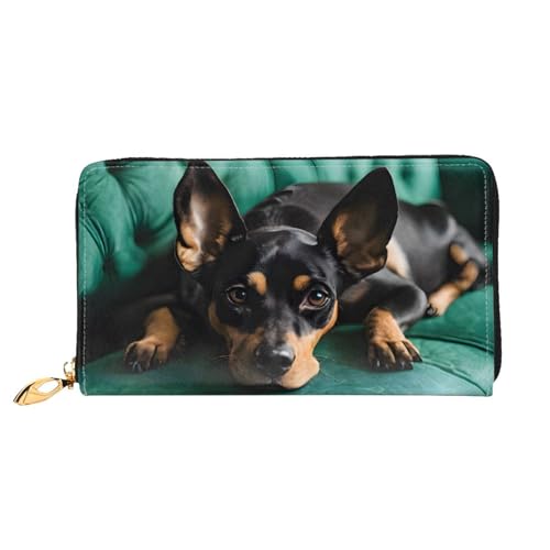 ZZZSWSYWZ Stilvolle Damen-Reisebrieftasche, lange Handy-Clutch, Geldbörse, Mikrofaser-Leder, Reißverschluss, Münzgeldbörse, Clutch, Kreditkarten-Organizer, Taschen, 3D-Druck, Grafik, lange Geldbörse von ZZZSWSYWZ