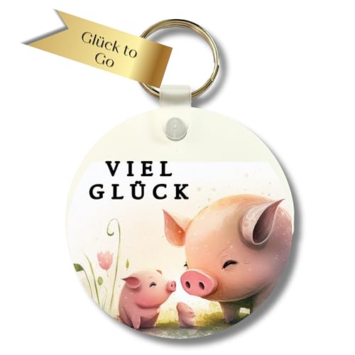 Schlüsselanhänger Glücksbringer - Schlüsselanhänger Auto - lustige Geschenkidee - Du schaffst das Geschenk Freundin Kinder - Wichtel Geschenk (Schweinchen Duo) von Zarto