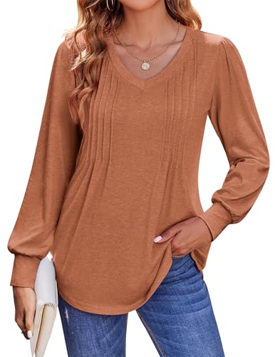 Zeagoo Damen Langarm Bluse Elegant V-Ausschnitt Top mit Falten Basic Tshirt Shirts Herbst Oberteile Karamell S von Zeagoo