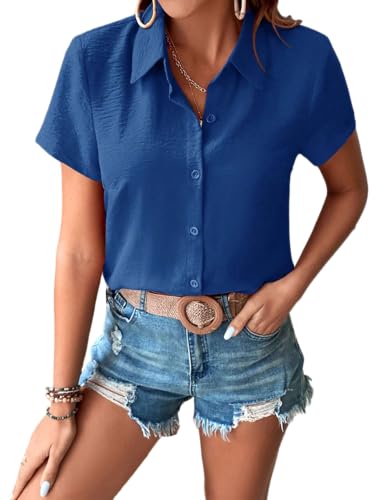 Zeagoo Damen Satin Bluse V-Ausschnitt Causal Satinblusen Lässige Seidenbluse Oberteil Tops Langarmshirt Shirts Tunika Hemd Blau XXL von Zeagoo