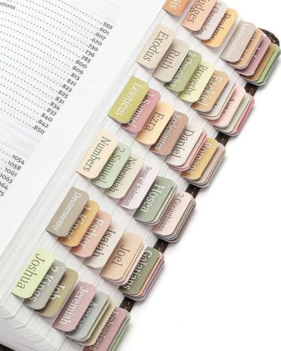 Zeayebsr 10 Blätter Laminierte Bibel-Tabs Bibelindex-Tabs für Lernbibel Leere Registerkarten Bibelreiter für Damen/Herren Bibelbuch-Tabs für Altes und Neues Testament Christliches Geschenk von Zeayebsr