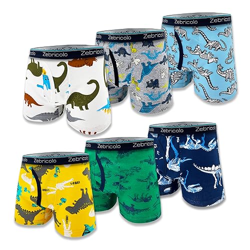 Zebricolo 10er-Pack Unterhosen Jungen Boxershorts Jungen 100% Baumwolle Kinder Unterhosen Jungen 2023 Neu（Zufällige6er-Pack von Zebricolo