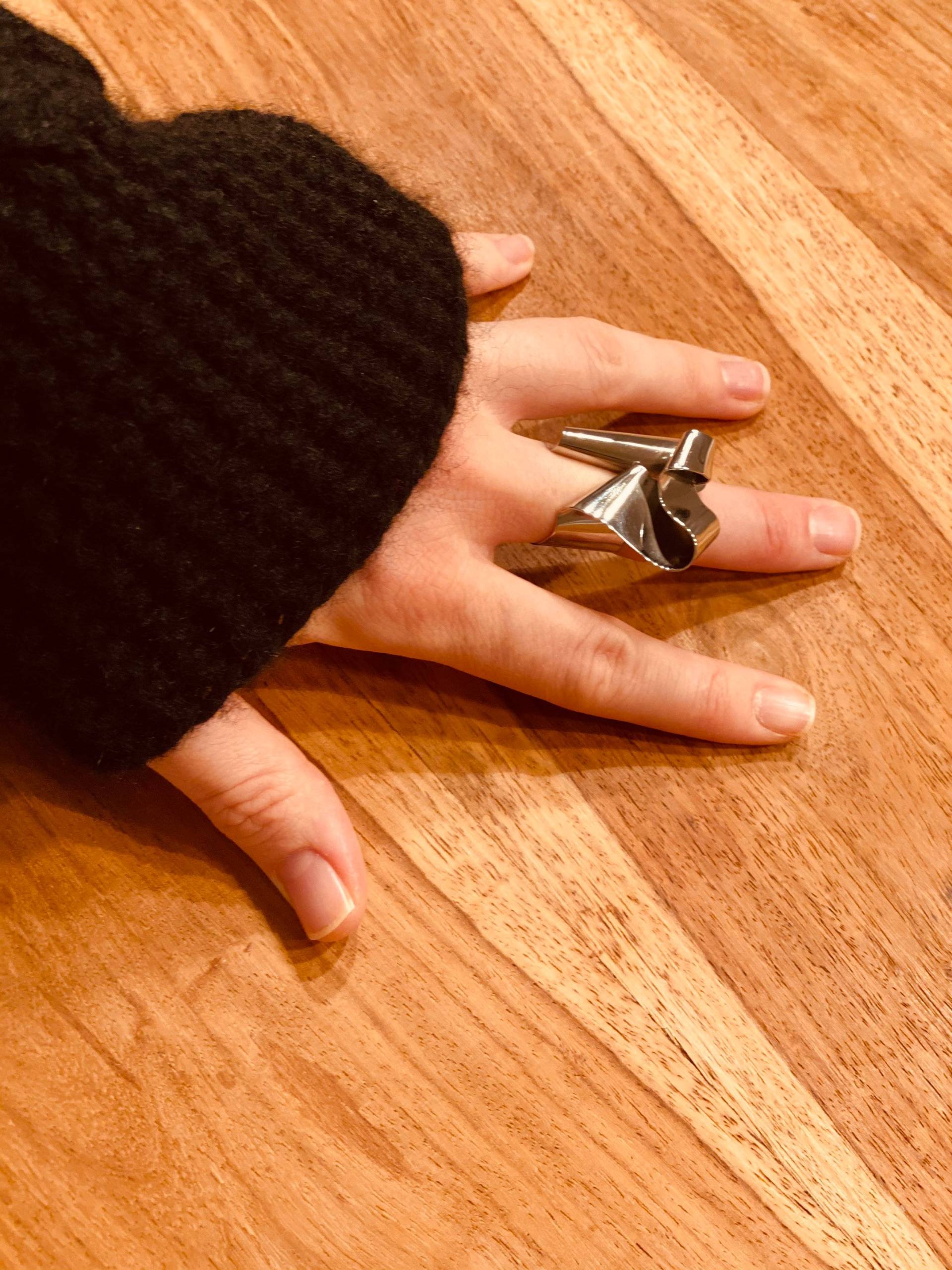 Ring Aus Poliertem Edelstahl Ring Aus Poliertem Edelstahl von Zefino