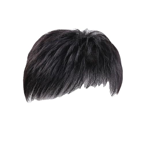 Herren Kurze Perücken Synthetische Faserperücken Haarstück Cosplay Party Natürliche Aussehen Perücken Kopfbedeckung Für Schnelle Frisur von Zeiwohndc