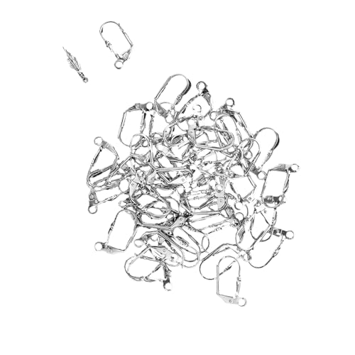Leichte Stahlohrclips Set Von 50 Schmerzbeständig von Zeiwohndc