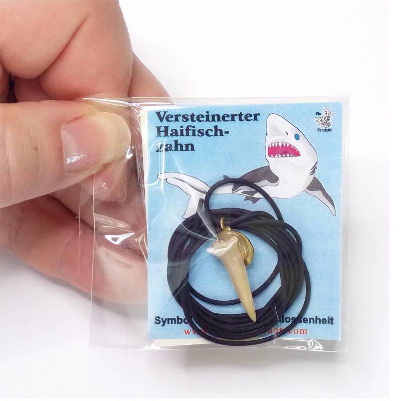 Haifischzahn Versteinert | 2 Varianten Zahngröße 1 - 2, 5 cm Als Anhänger, Haifischzahn, Fossil, Versteinert Fundort Marokko Haifischzahn Versteinert | 2 Varianten Zahngröße 1 - 2, 5 cm Als Anhänger, Haifischzahn, Fossil, Versteinert Fundort Marokko von ZenMineralien