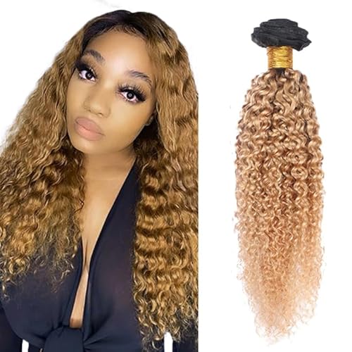 Zeslaerr Echthaar Perücke Bundles Human Hair Extensions 1B/27 Ombre Brown Color 8A Grade Unprocessed Brazilian Virgin Menschliches Haar Kinky Curly Bundles No Weft Knotless For Women 20 Inch Zeslaerr Echthaar Perücke Bundles Human Hair Extensions 1B/27 Ombre Brown Color 8A Grade Unprocessed Brazilian Virgin Menschliches Haar Kinky Curly Bundles No Weft Knotless For Women 20 Inch von Zeslaerr
