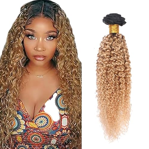 Zeslaerr Echthaar Perücke Bundles Human Hair Extensions 1B/27 Ombre Brown Color Kinky Curly Bundles No Weft Knotless For Women 26 Zoll von Zeslaerr