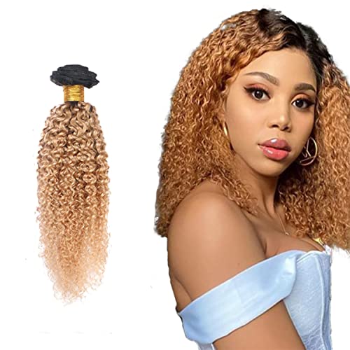 8 Inch Bundles Ombre Curly Hair Menschenhaar 1 Bundle 100g For Women 1b27 Double Weft No Tangle Hair Bundles Hair Weave Curly Bundles Human Hair Extension 8 Inch Bundles Ombre Curly Hair Menschenhaar 1 Bundle 100g For Women 1b27 Double Weft No Tangle Hair Bundles Hair Weave Curly Bundles Human Hair Extension von Zeslaerr