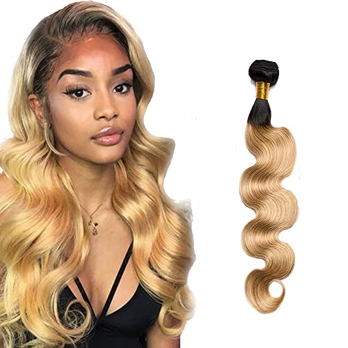 Zeslaerr 1B/27 Ombre Brown Color Echthaar Perücke Bundles Human Hair Extensions 8A Grade Unprocessed Brazilian Virgin Menschliches Haar Body Wave Bundles No Weft Knotless For Women 16 Zoll von Zeslaerr