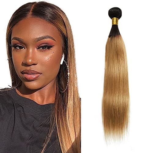 Zeslaerr 1B/27 Ombre Brown Color Echthaar Perücke Bundles Human Hair Extensions 8A Grade Unprocessed Brazilian Virgin Menschliches Haar Straight Bundles No Weft Knotless For Women 16 Zoll von Zeslaerr