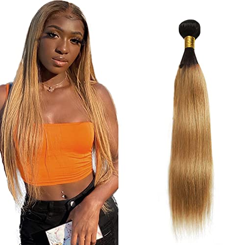 Zeslaerr 1B/27 Ombre Brown Color Echthaar Perücke Bundles Human Hair Extensions 8A Grade Unprocessed Brazilian Virgin Menschliches Haar Straight Bundles No Weft Knotless For Women 20 Zoll von Zeslaerr