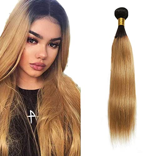 Zeslaerr 1B/27 Ombre Brown Color Echthaar Perücke Bundles Human Hair Extensions 8A Grade Unprocessed Brazilian Virgin Menschliches Haar Straight Bundles No Weft Knotless For Women 22 Inch von Zeslaerr