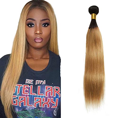 Zeslaerr 1B/27 Ombre Brown Color Echthaar Perücke Bundles Human Hair Extensions 8A Grade Unprocessed Brazilian Virgin Menschliches Haar Straight Bundles No Weft Knotless For Women 24 Zoll von Zeslaerr