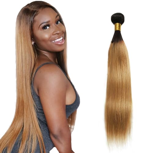 Zeslaerr 1B/27 Ombre Brown Color Echthaar Perücke Bundles Human Hair Extensions 8A Grade Unprocessed Brazilian Virgin Menschliches Haar Straight Bundles No Weft Knotless For Women 30 Inch von Zeslaerr