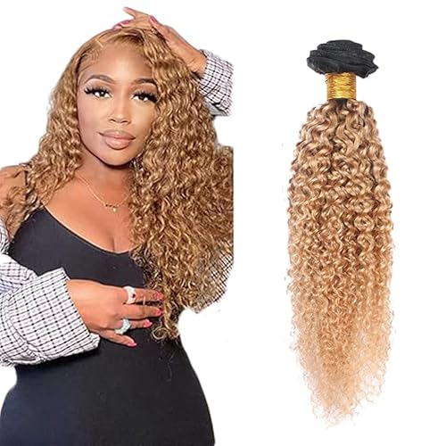 Zeslaerr 1B/27 Ombre Brown Color Echthaar Perücke Bundles Human Hair Extensions Grade Unprocessed Virgin Double Weft Kinky Curly Bundles Minimal Shedding For Women 14 Inch von Zeslaerr