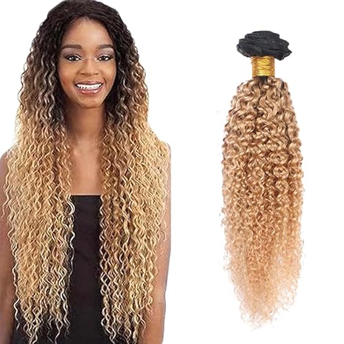 Zeslaerr 1B/27 Ombre Brown Color Echthaar Perücke Bundles Human Hair Extensions Grade Unprocessed Virgin Double Weft Kinky Curly Bundles Minimal Shedding For Women 18 Inch von Zeslaerr