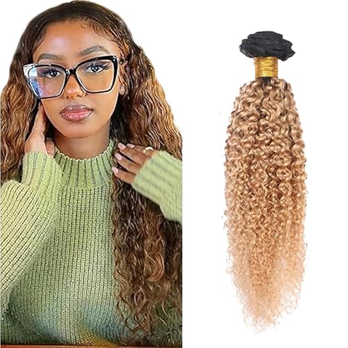 Zeslaerr 1B/27 Ombre Brown Color Echthaar Perücke Bundles Human Hair Extensions Grade Unprocessed Virgin Double Weft Kinky Curly Bundles Minimal Shedding For Women 20 Inch von Zeslaerr