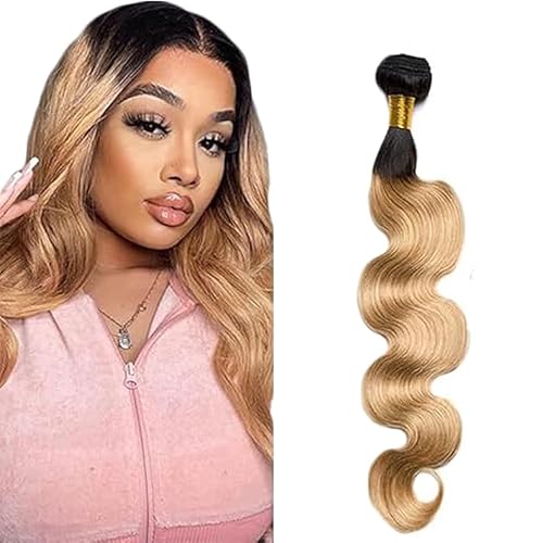 Zeslaerr Echthaar Perücke Bundles Human Hair Extensions 1B/27 Ombre Brown Color 8A Grade Unprocessed Brazilian Virgin Menschliches Haar Body Wave Bundles No Weft Knotless For Women 10 Inch von Zeslaerr