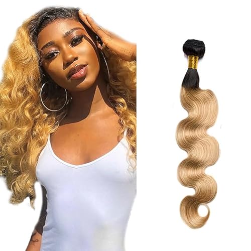 Zeslaerr Echthaar Perücke Bundles Human Hair Extensions 1B/27 Ombre Brown Color 8A Grade Unprocessed Brazilian Virgin Menschliches Haar Body Wave Bundles No Weft Knotless For Women 14 Inch von Zeslaerr