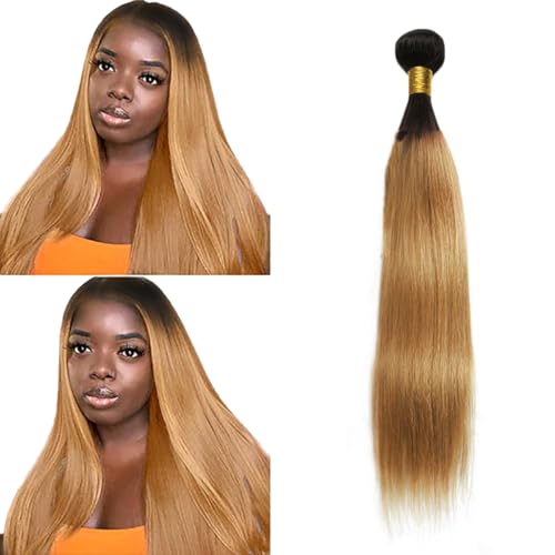Zeslaerr Echthaar Perücke Bundles Human Hair Extensions 1B/27 Ombre Brown Color 8A Grade Unprocessed Brazilian Virgin Menschliches Haar Straight Bundles No Weft Knotless For Women 18 Zoll Zeslaerr Echthaar Perücke Bundles Human Hair Extensions 1B/27 Ombre Brown Color 8A Grade Unprocessed Brazilian Virgin Menschliches Haar Straight Bundles No Weft Knotless For Women 18 Zoll von Zeslaerr