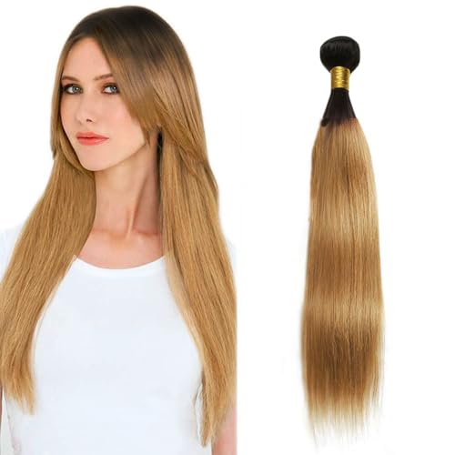 Zeslaerr Echthaar Perücke Bundles Human Hair Extensions 1B/27 Ombre Brown Color 8A Grade Unprocessed Brazilian Virgin Menschliches Haar Straight Bundles No Weft Knotless For Women 22 Zoll von Zeslaerr