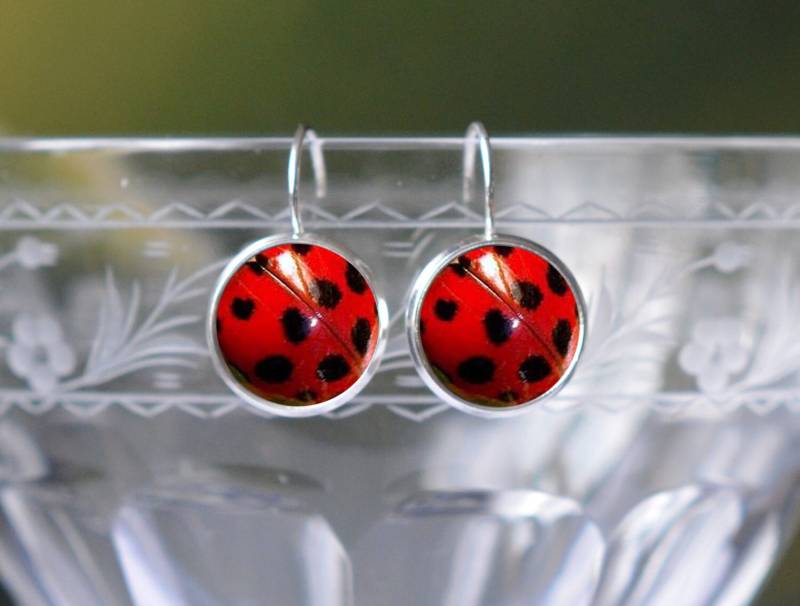 Marienkäfer Ohrringe - Insekt Schmuck Niedlicher Rot Und Schwarz Für Frauen Fun Einzigartige Silber Geschenke Zum Jahrestag von ZestGifts