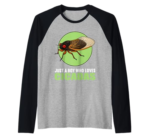 Herren Zikaden Zikade Raglan Herren Zikaden Zikade Raglan von Zikaden Zikade Tier Shop