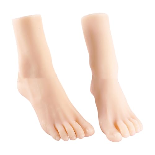 Zkydhbd Größe 36 Frauen Realistic Foot Model Foot Replicas Weiche TPE Textur Geeignet Für Schuhdisplay Training Und Kunstreferenz Realistische Schuhdisplay Requisite von Zkydhbd